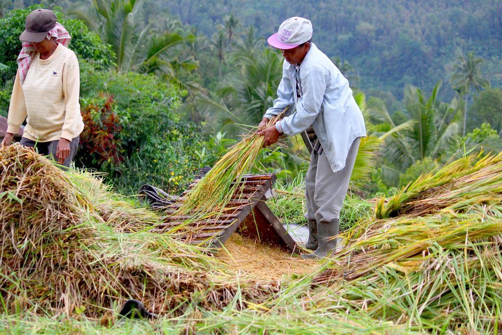 Bali Bening Munduk Exterior foto