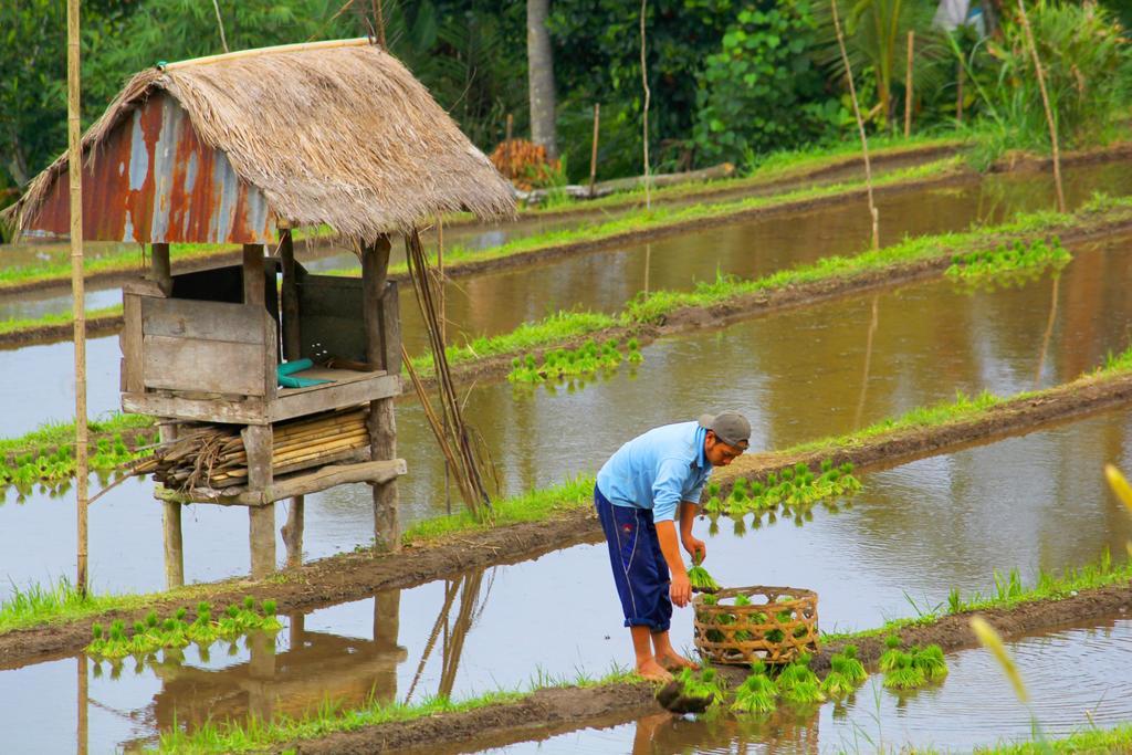 Bali Bening Munduk Exterior foto