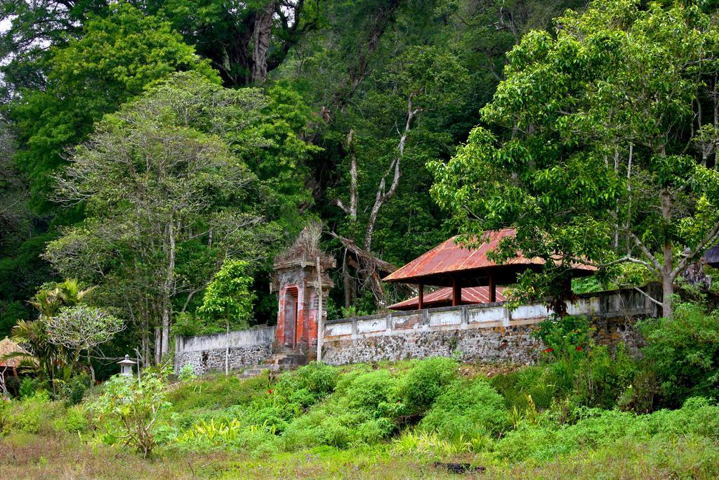 Bali Bening Munduk Exterior foto